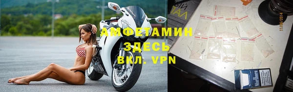 прущие крисы Беломорск