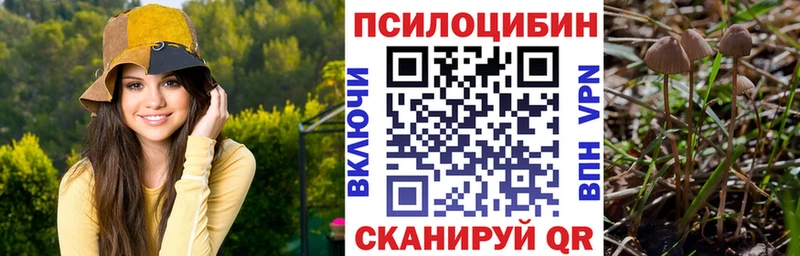 Галлюциногенные грибы Cubensis  Верея 